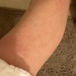 View Gallery Image #15