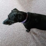 View Gallery Image #8