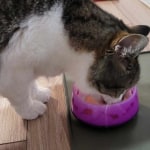 View Gallery Image #6