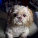 View Gallery Image #9