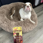 View Gallery Image #5