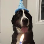 View Gallery Image #13