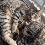 View Gallery Image #9