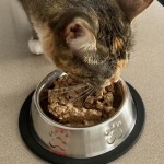 View Gallery Image #7