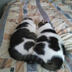 View Gallery Image #12