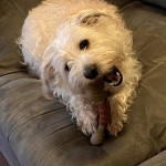 View Gallery Image #15