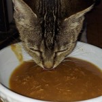 View Gallery Image #12