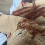 View Gallery Image #6