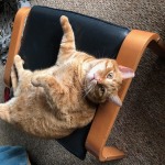 View Gallery Image #11