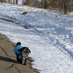 View Gallery Image #5