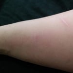 View Gallery Image #3