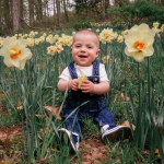 View Gallery Image #5