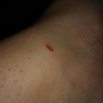 View Gallery Image #5