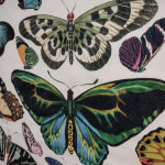 Butterfly tapestry world market new arrivals