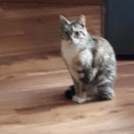 View Gallery Image #2