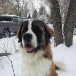 View Gallery Image #13