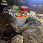 View Gallery Image #4