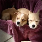 View Gallery Image #14