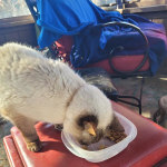 View Gallery Image #5