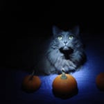 View Gallery Image #6