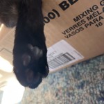 View Gallery Image #3