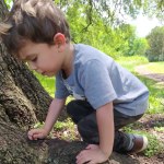 View Gallery Image #14