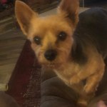 View Gallery Image #7