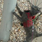 View Gallery Image #1