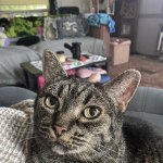 View Gallery Image #1