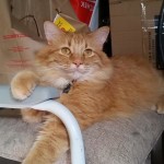 View Gallery Image #5