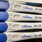 View Gallery Image #2