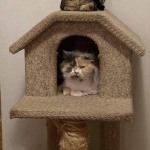 View Gallery Image #4