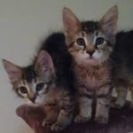 View Gallery Image #6