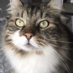 View Gallery Image #3