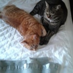 View Gallery Image #2