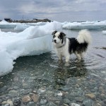 View Gallery Image #4