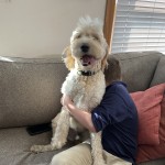 View Gallery Image #7