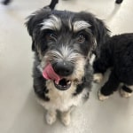 View Gallery Image #9