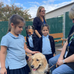 View Gallery Image #13