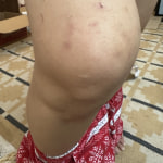 View Gallery Image #2