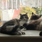 View Gallery Image #2