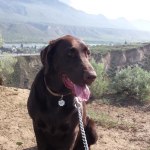 View Gallery Image #12