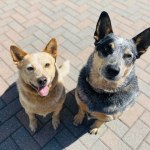 View Gallery Image #6