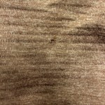 View Gallery Image #8