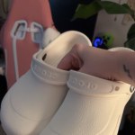 Bistro Work Clog