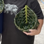 View Gallery Image #6