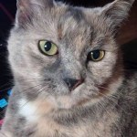 View Gallery Image #3