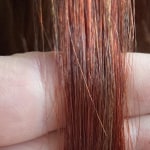 View Gallery Image #10