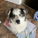 View Gallery Image #2