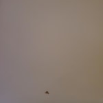 View Gallery Image #8